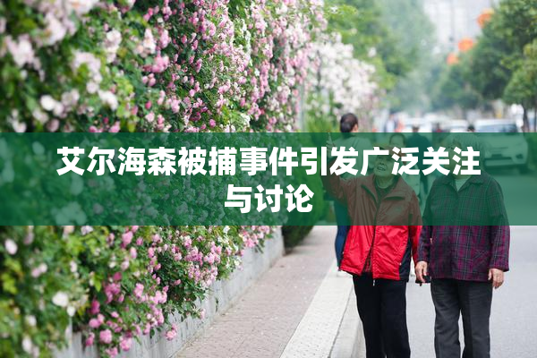 艾尔海森被捕事件引发广泛关注与讨论