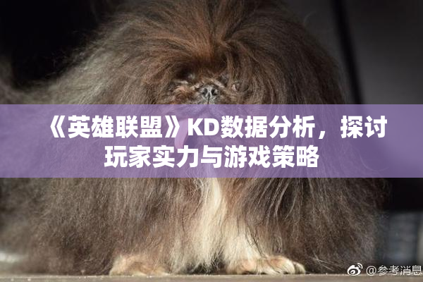 《英雄联盟》KD数据分析，探讨玩家实力与游戏策略