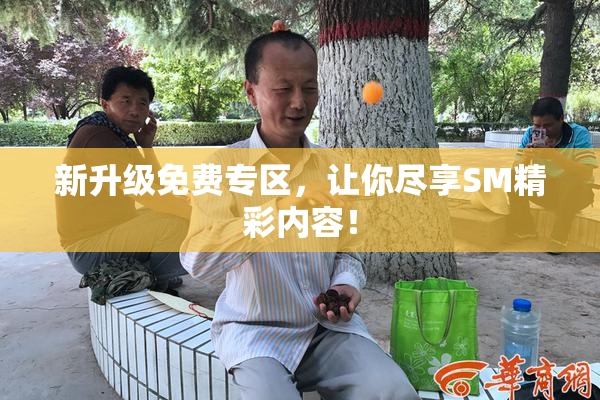 新升级免费专区，让你尽享SM精彩内容！
