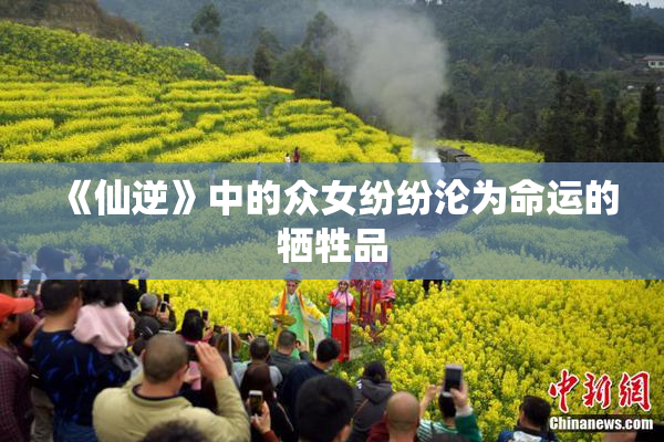 《仙逆》中的众女纷纷沦为命运的牺牲品