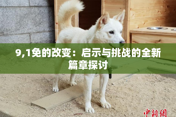 9,1免的改变：启示与挑战的全新篇章探讨