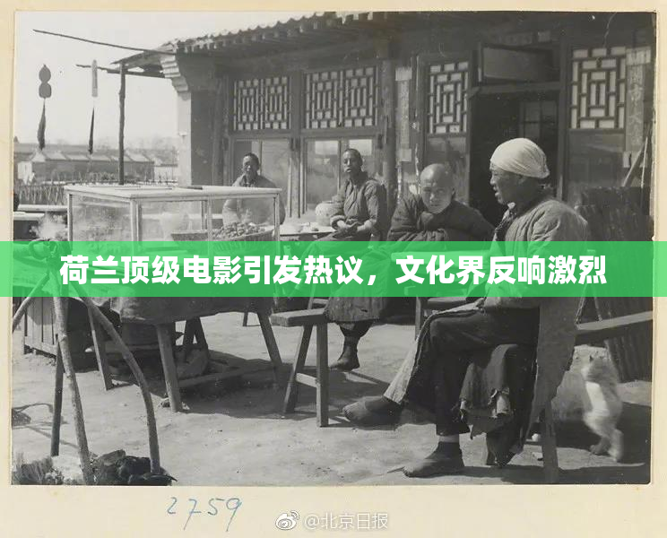荷兰顶级电影引发热议，文化界反响激烈