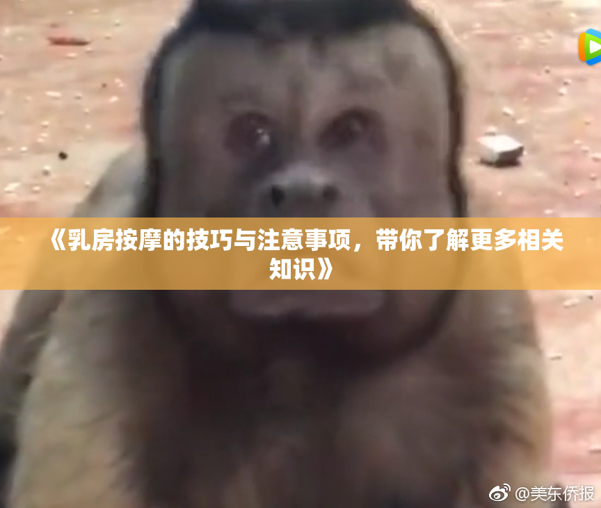 《乳房按摩的技巧与注意事项，带你了解更多相关知识》