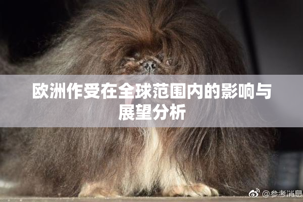 欧洲作受在全球范围内的影响与展望分析