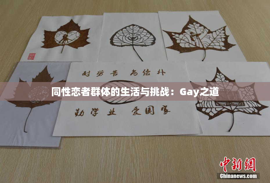 同性恋者群体的生活与挑战：Gay之道