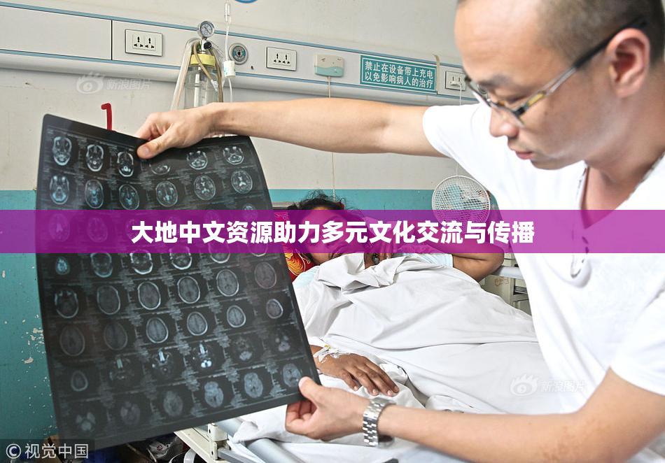 大地中文资源助力多元文化交流与传播