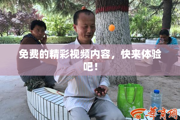 免费的精彩视频内容，快来体验吧！