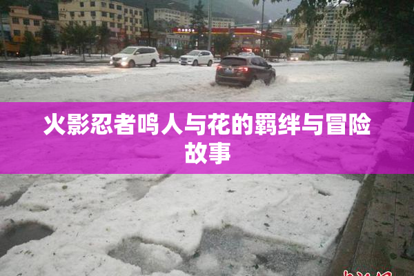 火影忍者鸣人与花的羁绊与冒险故事
