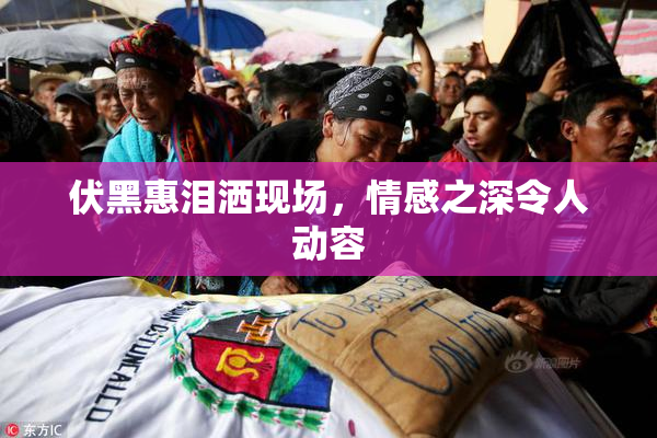 伏黑惠泪洒现场，情感之深令人动容