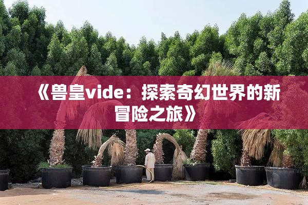 《兽皇vide：探索奇幻世界的新冒险之旅》