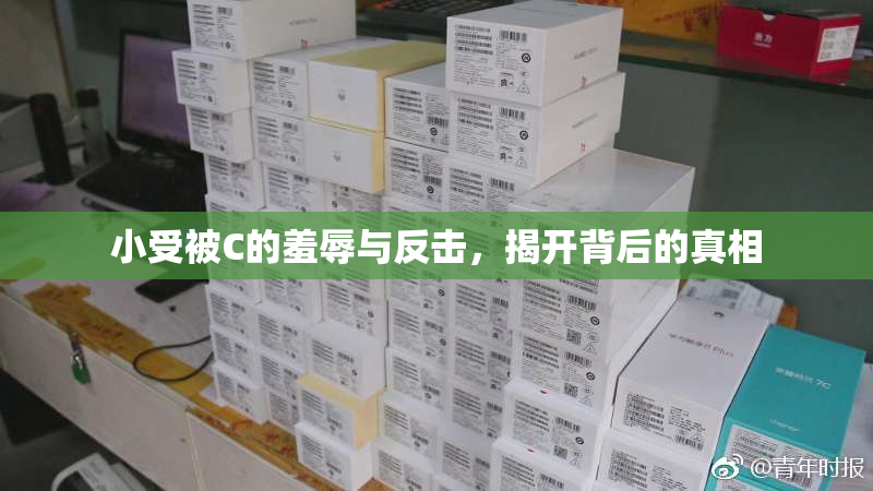 小受被C的羞辱与反击，揭开背后的真相