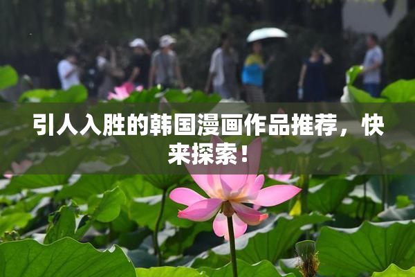 引人入胜的韩国漫画作品推荐，快来探索！