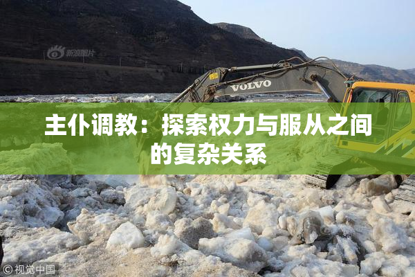 主仆调教：探索权力与服从之间的复杂关系