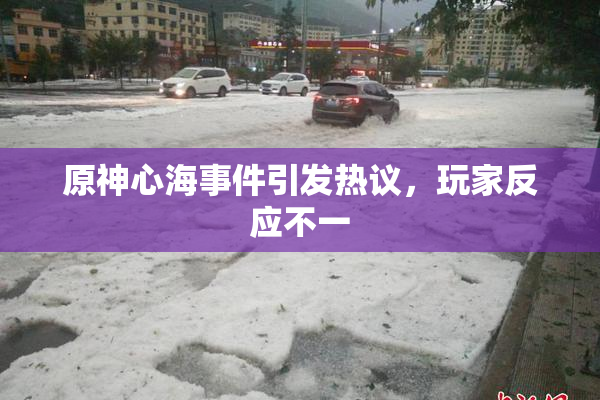 原神心海事件引发热议，玩家反应不一