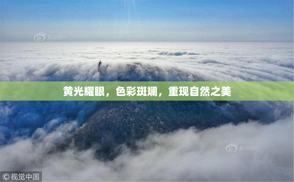 黄光耀眼，色彩斑斓，重现自然之美