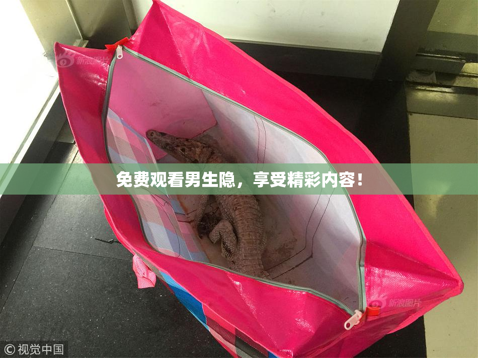 免费观看男生隐，享受精彩内容！