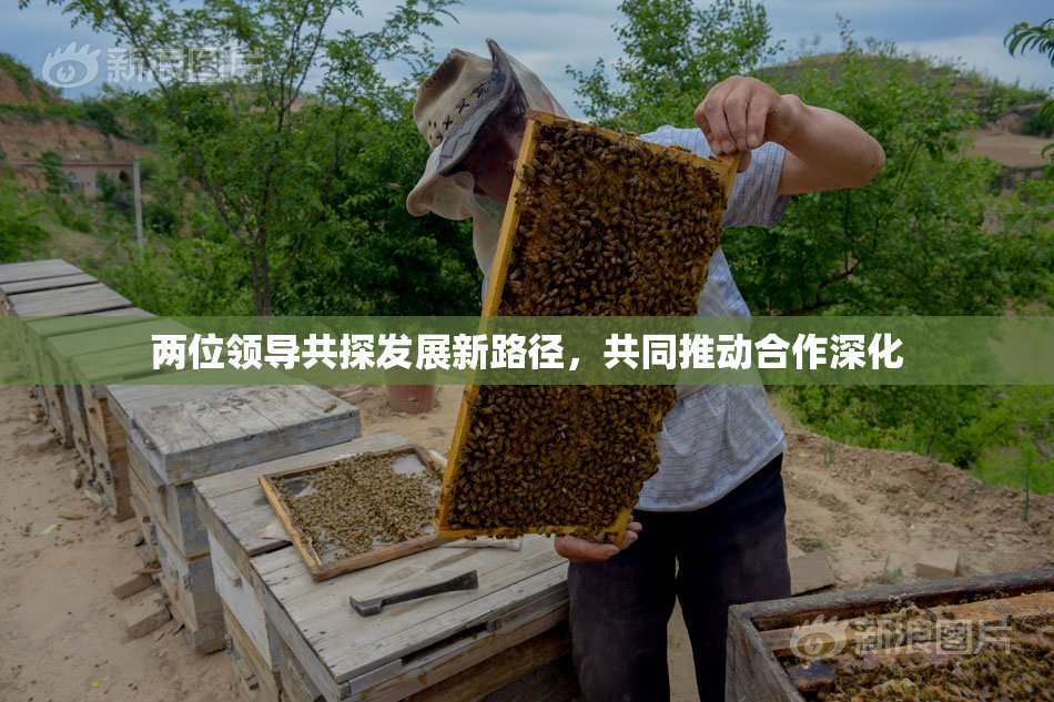 两位领导共探发展新路径，共同推动合作深化