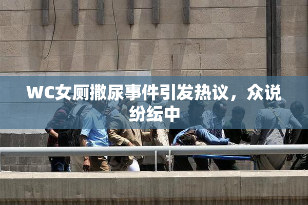WC女厕撒尿事件引发热议，众说纷纭中
