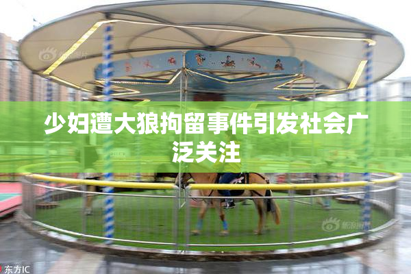 少妇遭大狼拘留事件引发社会广泛关注