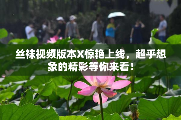 丝袜视频版本X惊艳上线，超乎想象的精彩等你来看！