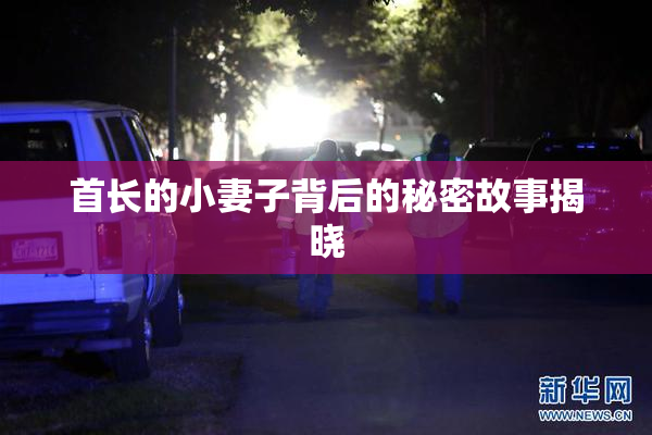 首长的小妻子背后的秘密故事揭晓