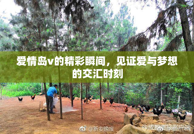 爱情岛v的精彩瞬间，见证爱与梦想的交汇时刻
