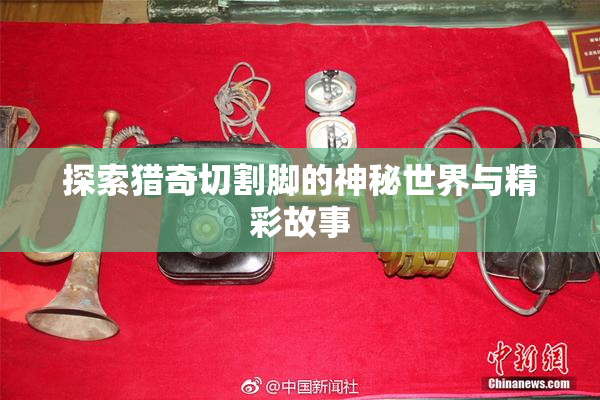 探索猎奇切割脚的神秘世界与精彩故事