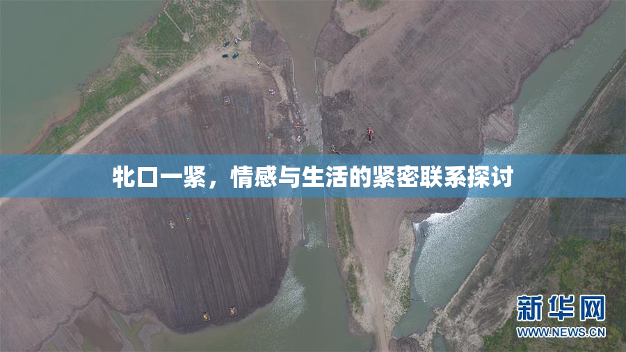 牝口一紧，情感与生活的紧密联系探讨