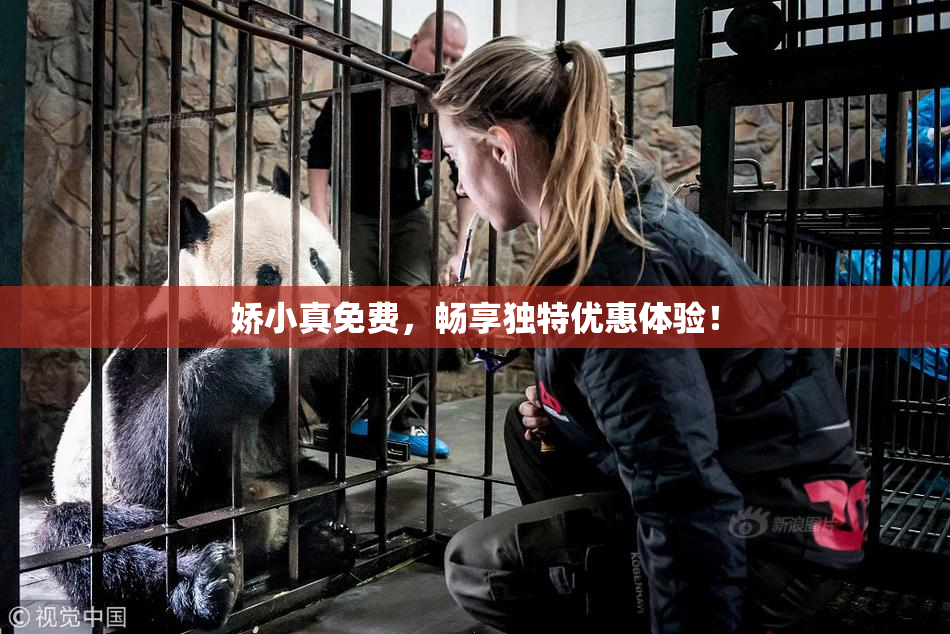 娇小真免费，畅享独特优惠体验！