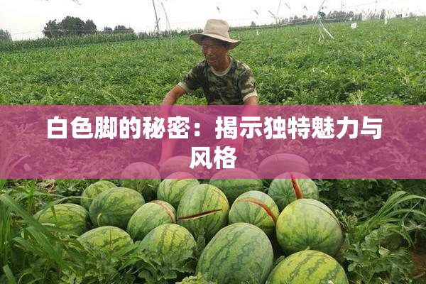 白色脚的秘密：揭示独特魅力与风格
