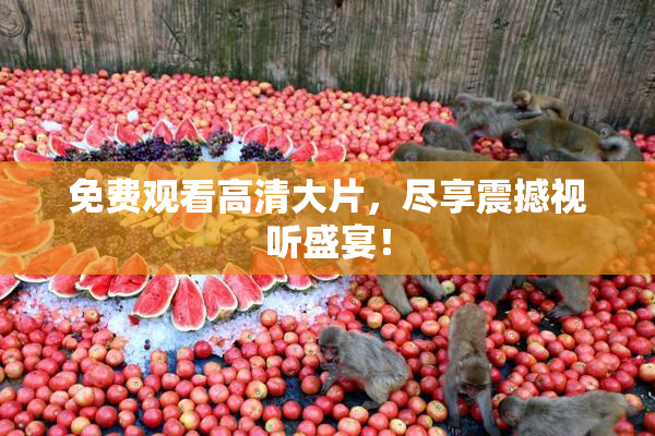 免费观看高清大片，尽享震撼视听盛宴！