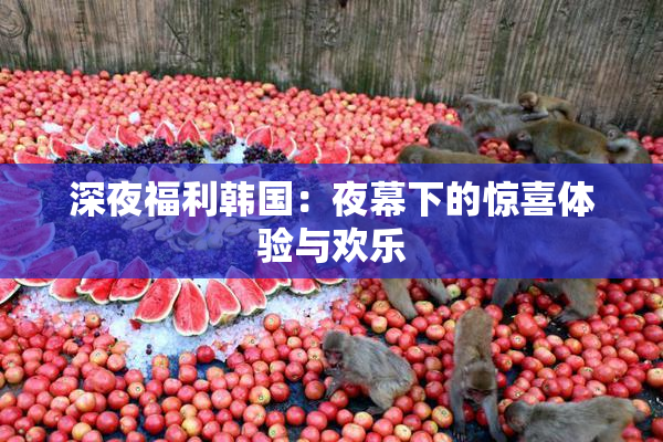 深夜福利韩国：夜幕下的惊喜体验与欢乐