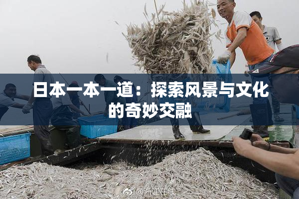 日本一本一道：探索风景与文化的奇妙交融