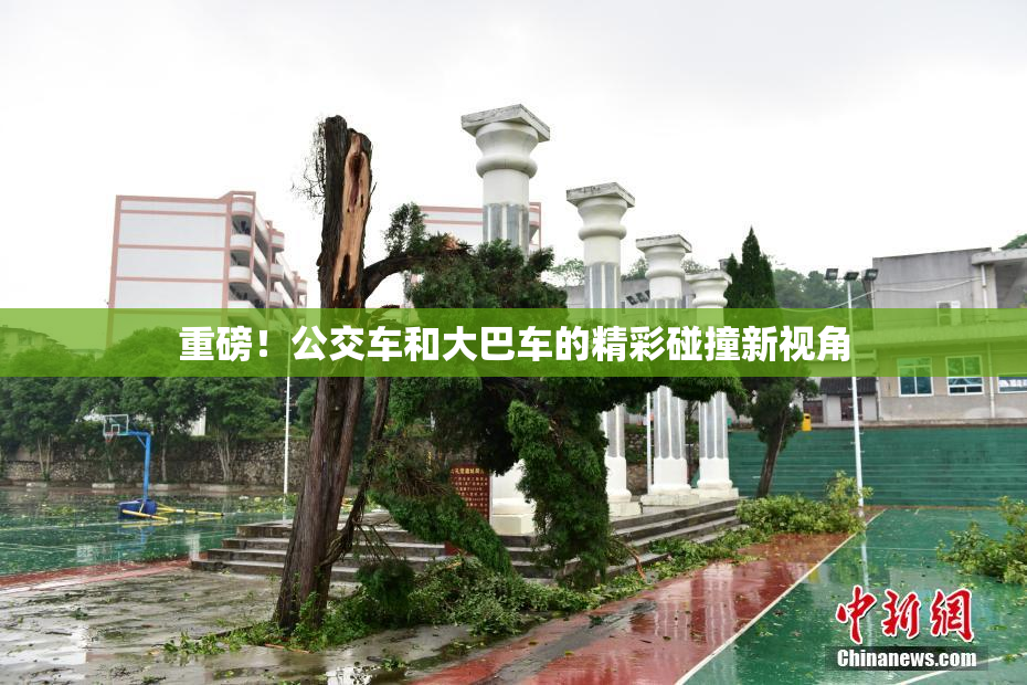 重磅！公交车和大巴车的精彩碰撞新视角