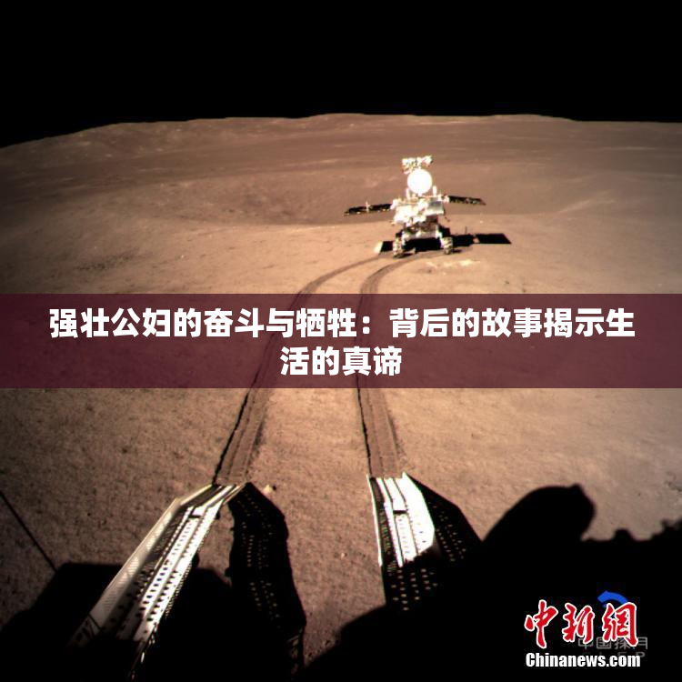强壮公妇的奋斗与牺牲：背后的故事揭示生活的真谛