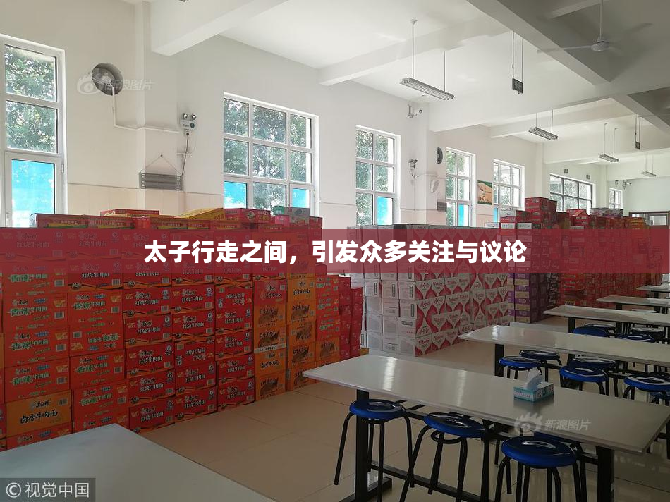 太子行走之间，引发众多关注与议论