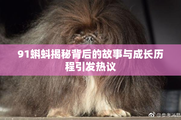 91蝌蚪揭秘背后的故事与成长历程引发热议