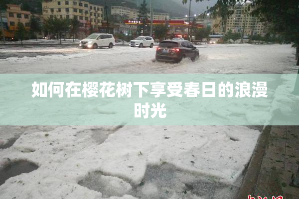 如何在樱花树下享受春日的浪漫时光