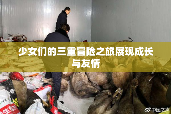 少女们的三重冒险之旅展现成长与友情