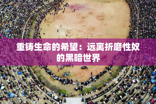 重铸生命的希望：远离折磨性奴的黑暗世界
