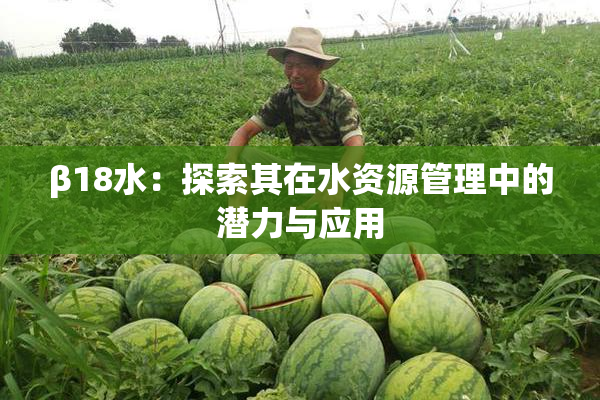β18水：探索其在水资源管理中的潜力与应用