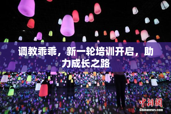 调教乖乖，新一轮培训开启，助力成长之路