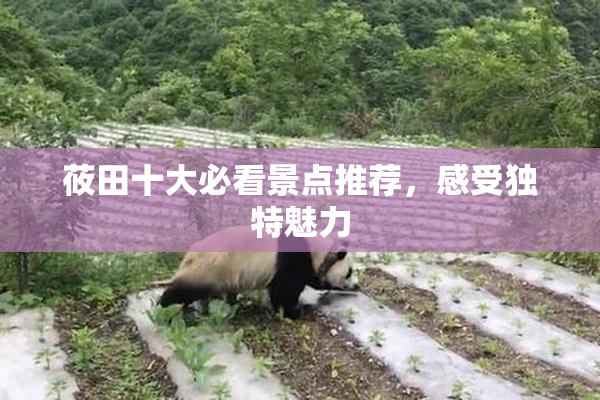 莜田十大必看景点推荐，感受独特魅力