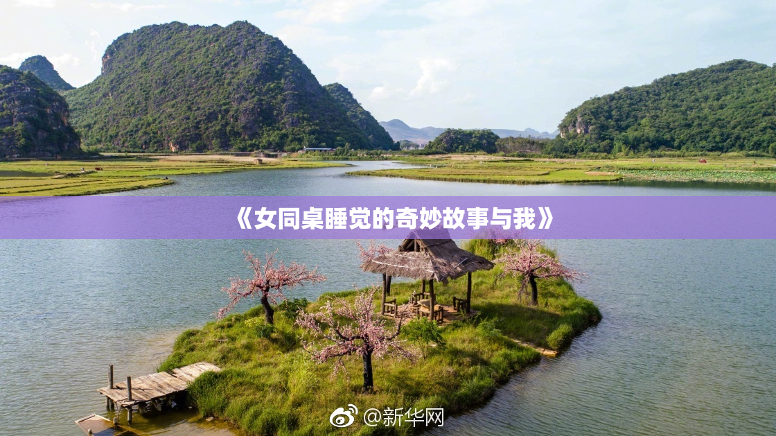 《女同桌睡觉的奇妙故事与我》