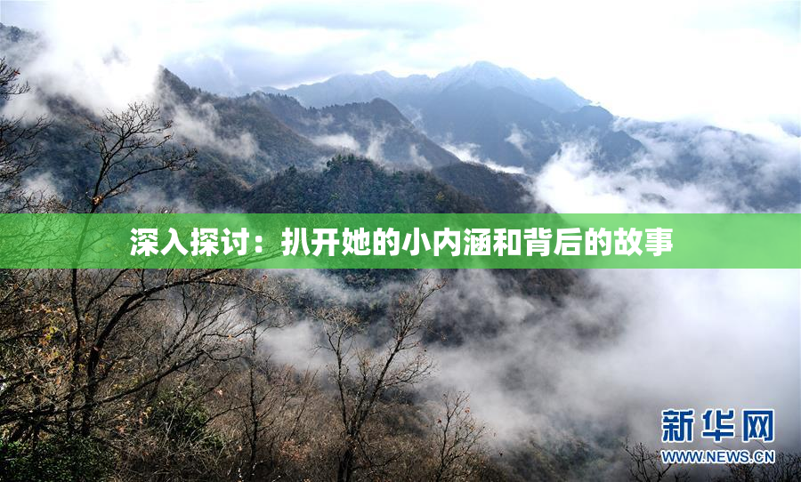 深入探讨：扒开她的小内涵和背后的故事
