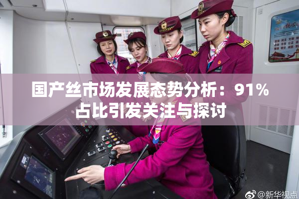 国产丝市场发展态势分析：91%占比引发关注与探讨