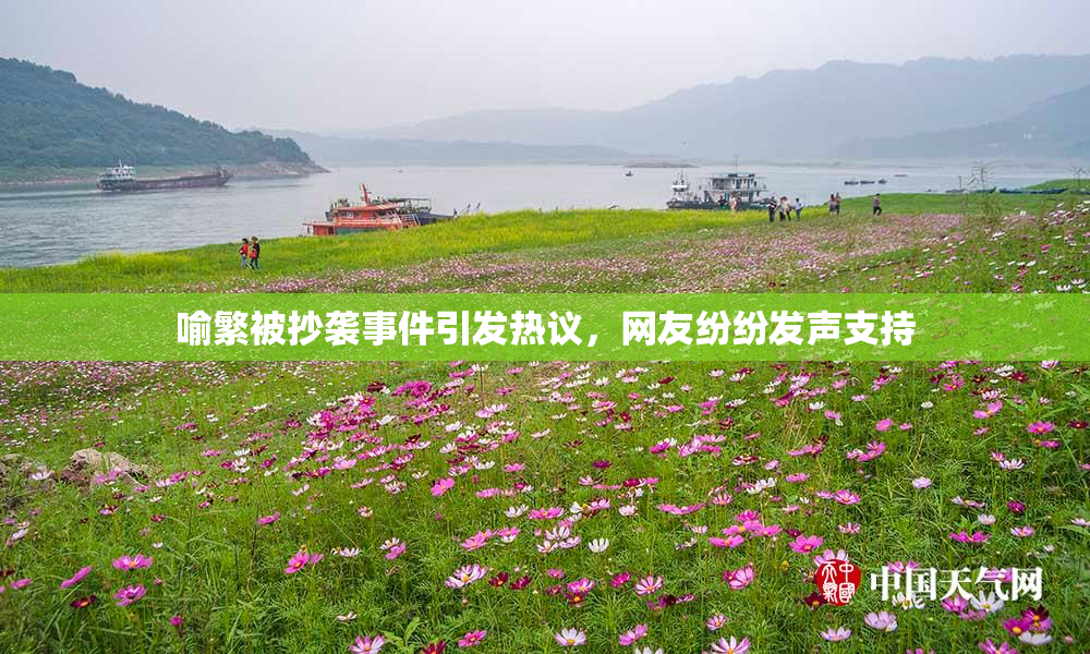 喻繁被抄袭事件引发热议，网友纷纷发声支持