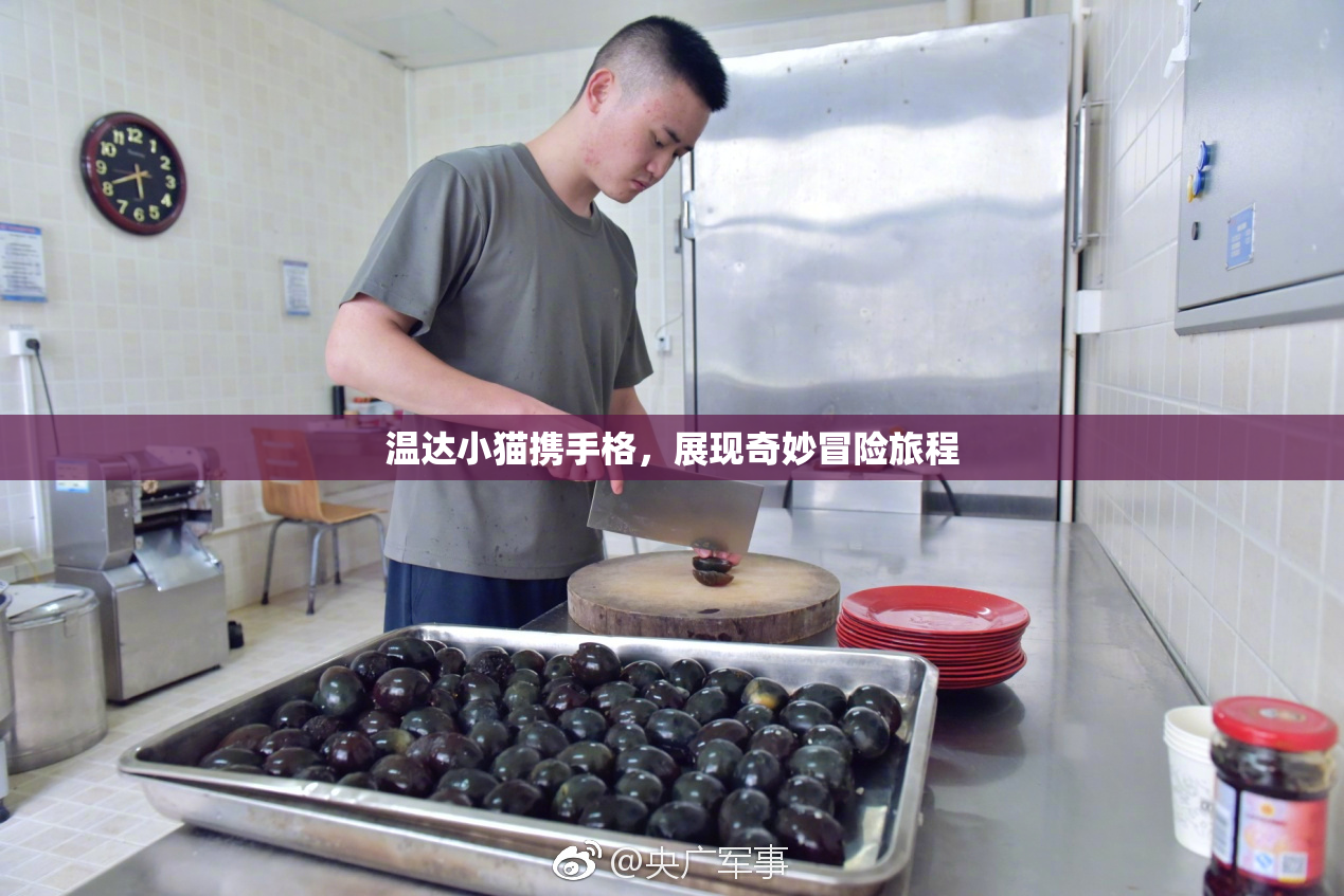 温达小猫携手格，展现奇妙冒险旅程