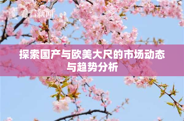 探索国产与欧美大尺的市场动态与趋势分析