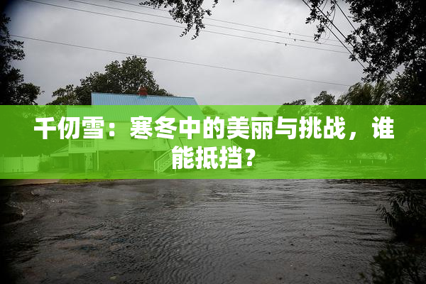 千仞雪：寒冬中的美丽与挑战，谁能抵挡？